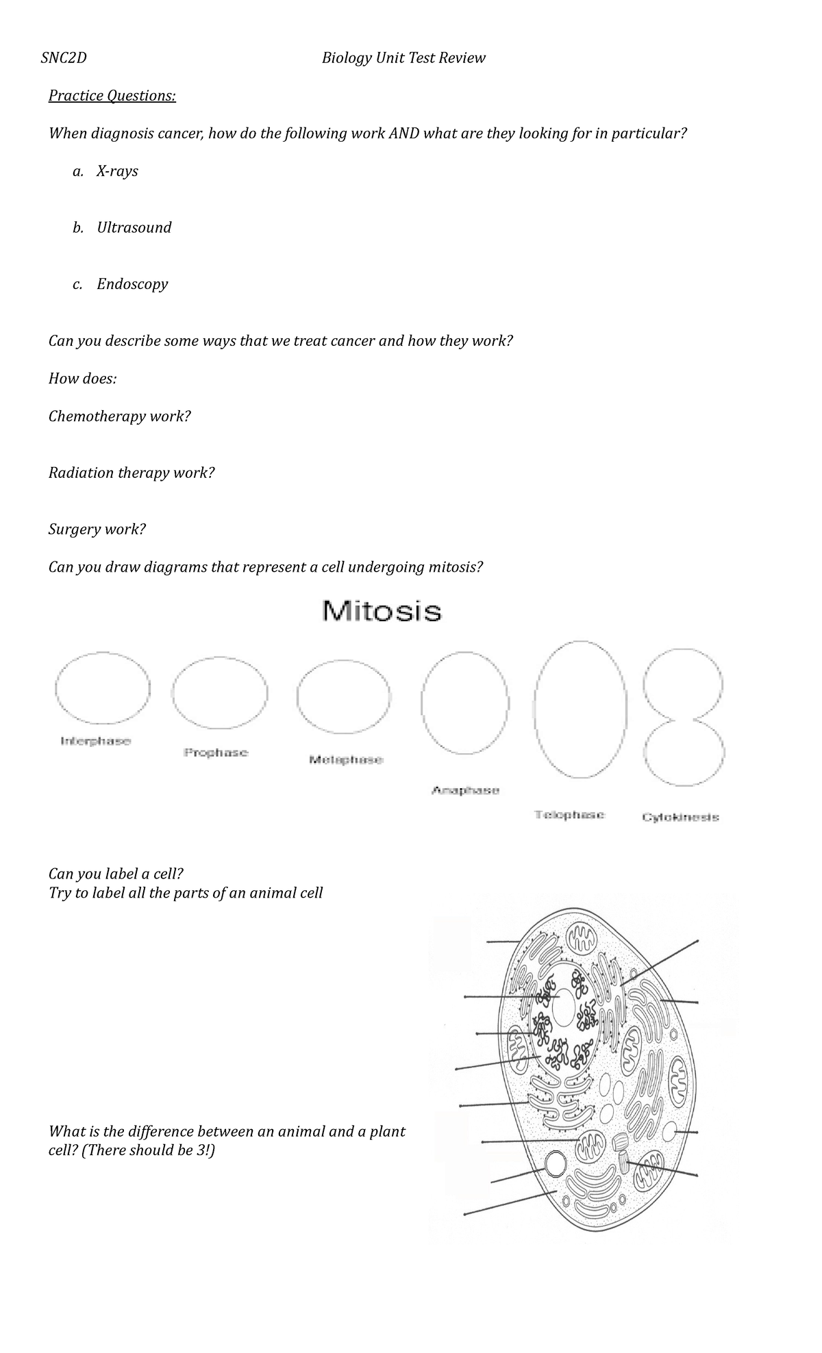 Biology Review Questions Practice Questions When diagnosis cancer