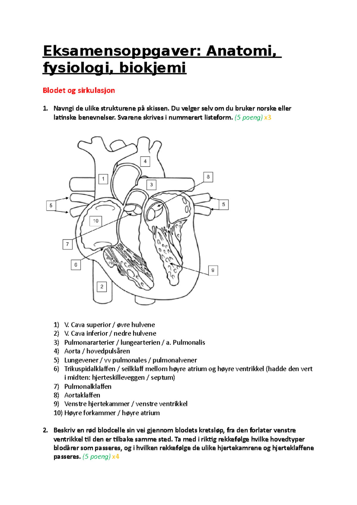 Eksamensoppgaver Med Svar - Eksamensoppgaver: Anatomi, Fysiologi ...