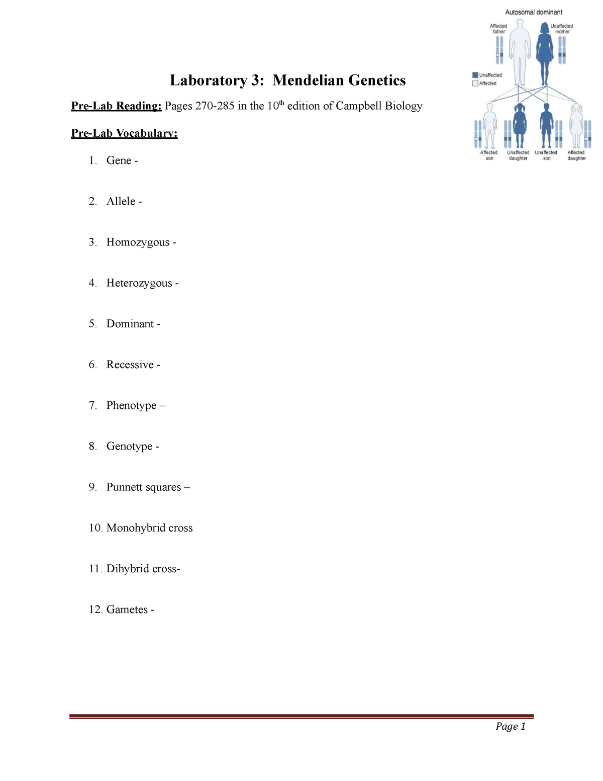 Mendelian-Genetics-Activity - Page 1 Laboratory 3: Mendelian Genetics ...