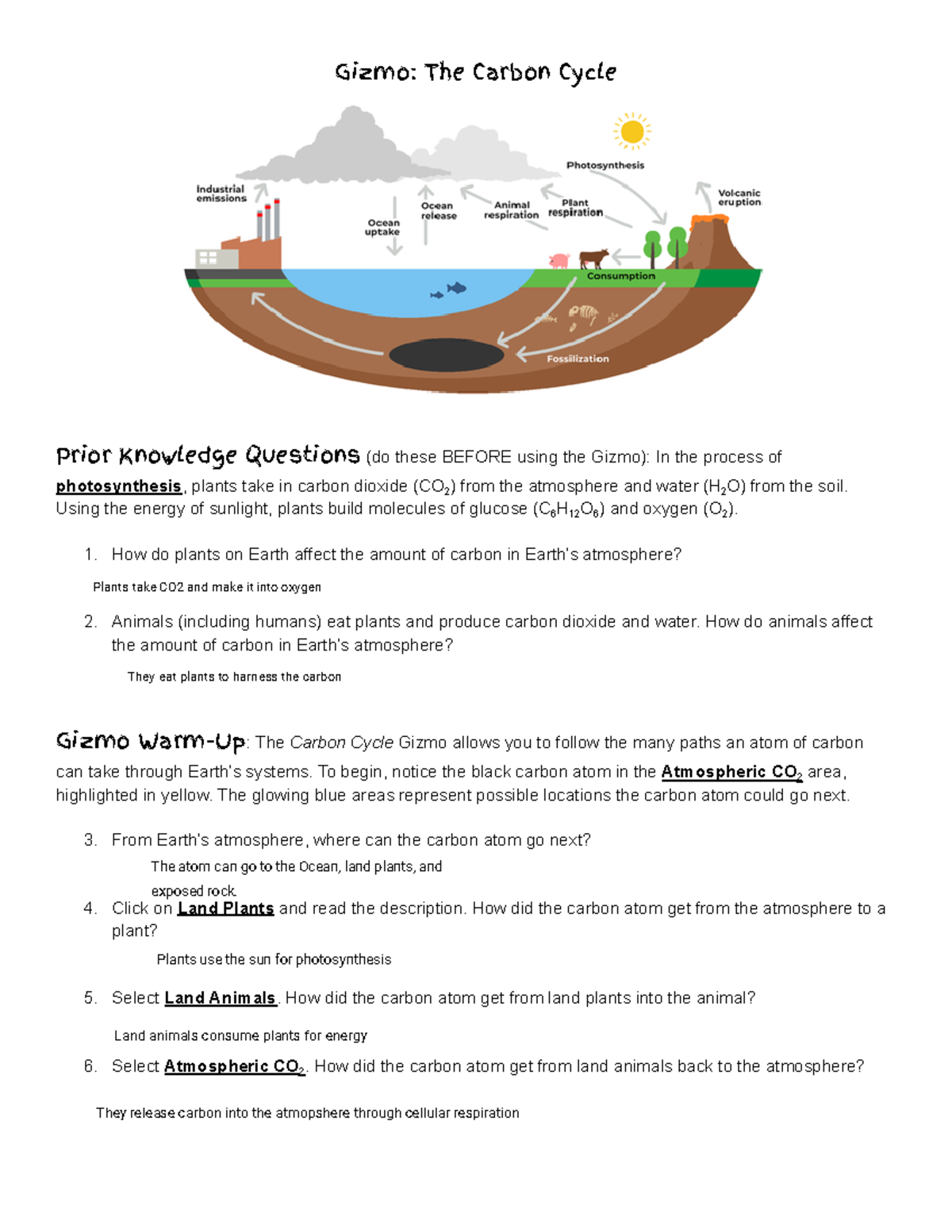 Kami Export - Questions - Gizmo: The Carbon Cycle Prior Knowledge