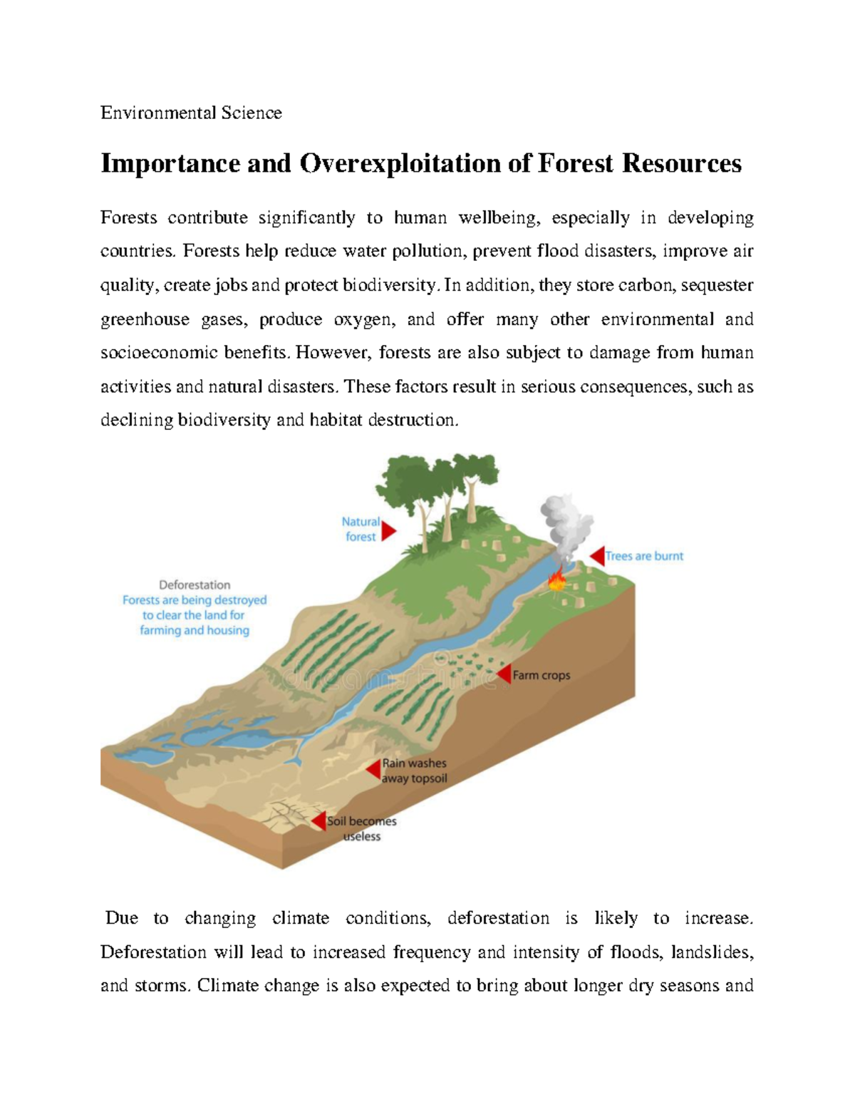 Importance and Overexploitation of Forest Resources - Environmental ...