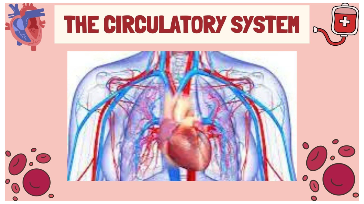 5 Circulatory System - genbio11 - BS Psychology - Studocu