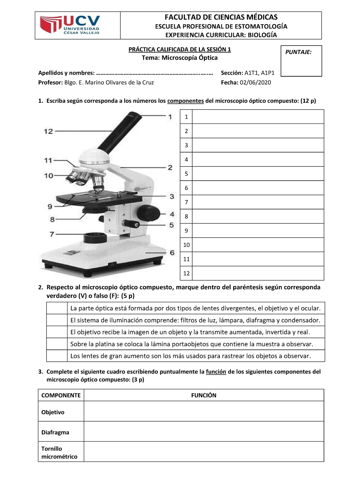 Práctica Calificada 1-Microscopía óptica. Células Procariota Y ...