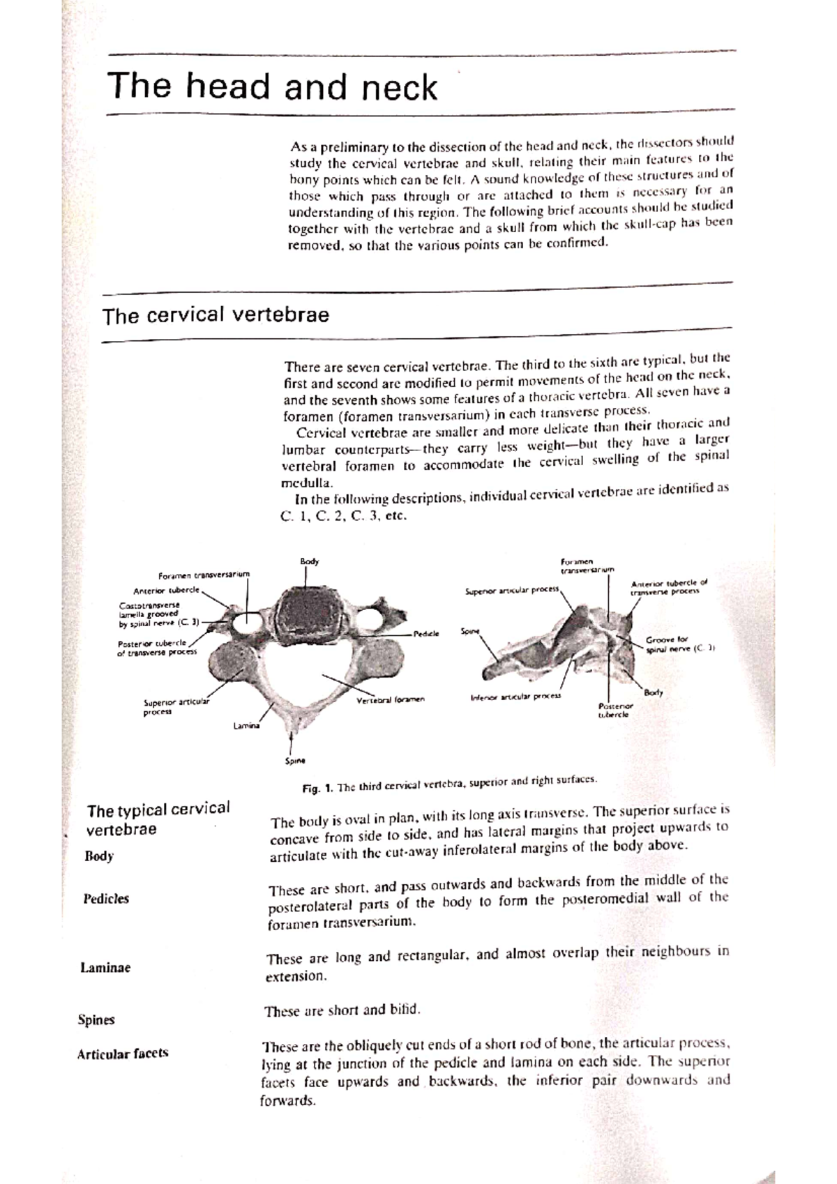 Anatomy Practical lecture notes Bachelor of dental science Studocu