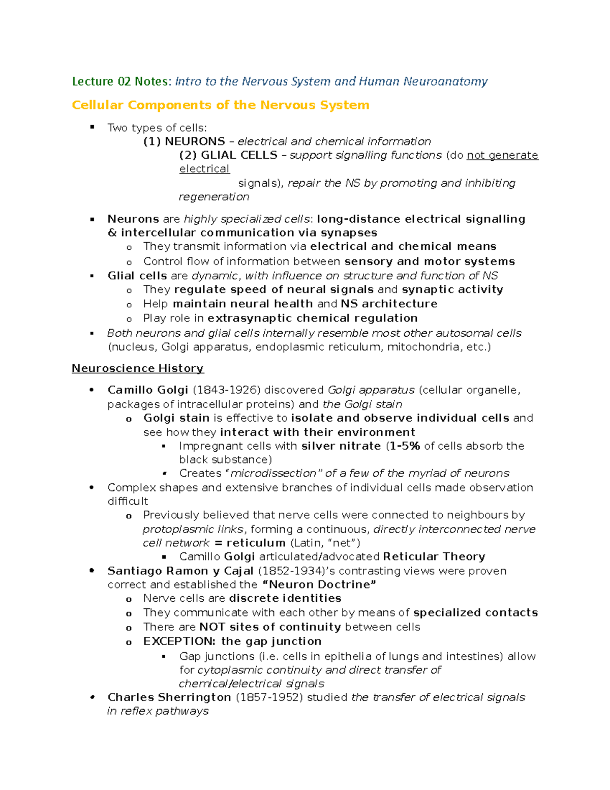 Lecture 02 Notes - Neuroanatomy - nsci200 - Concordia - Studocu