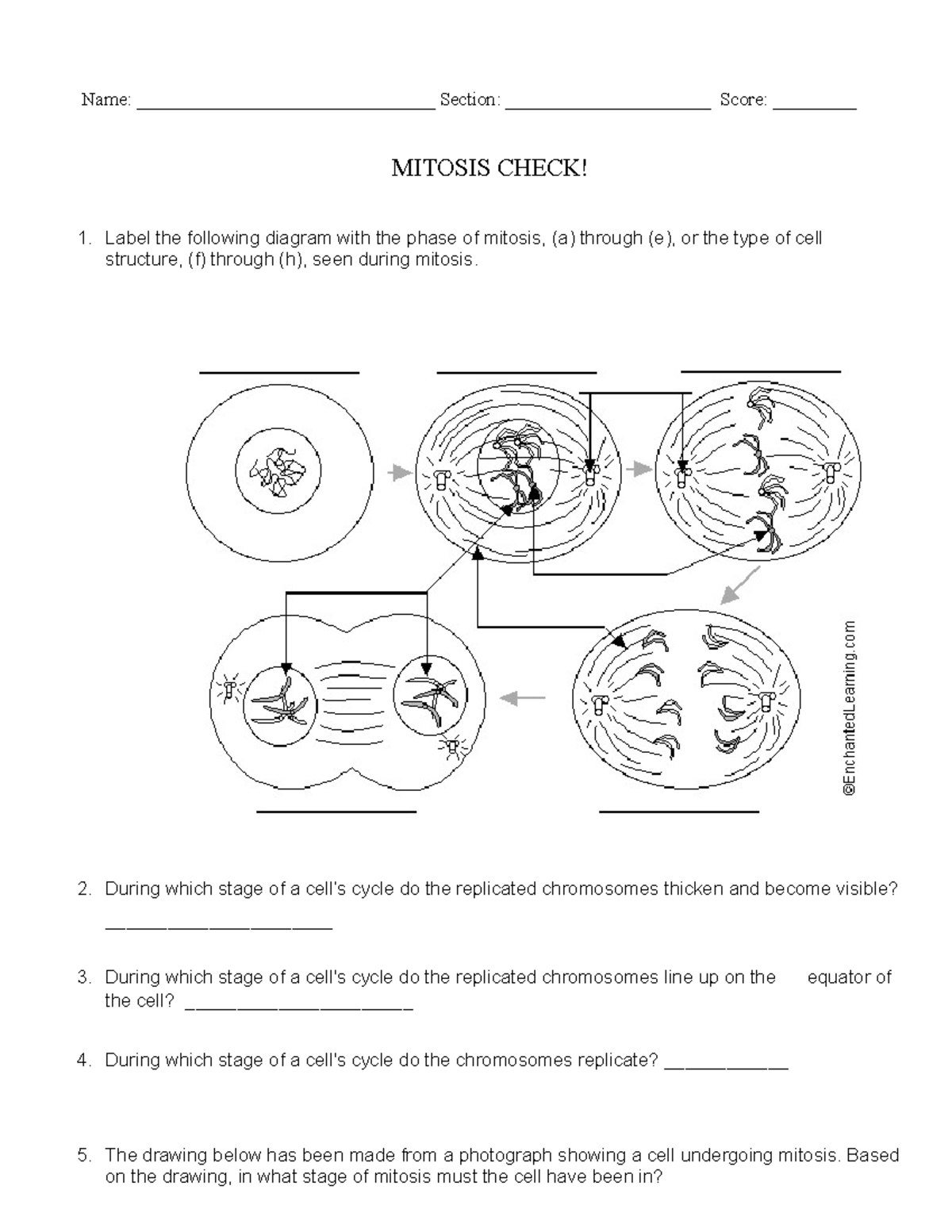 How Much - DLL for science 7.Kto 12 fo COT purposes - Name