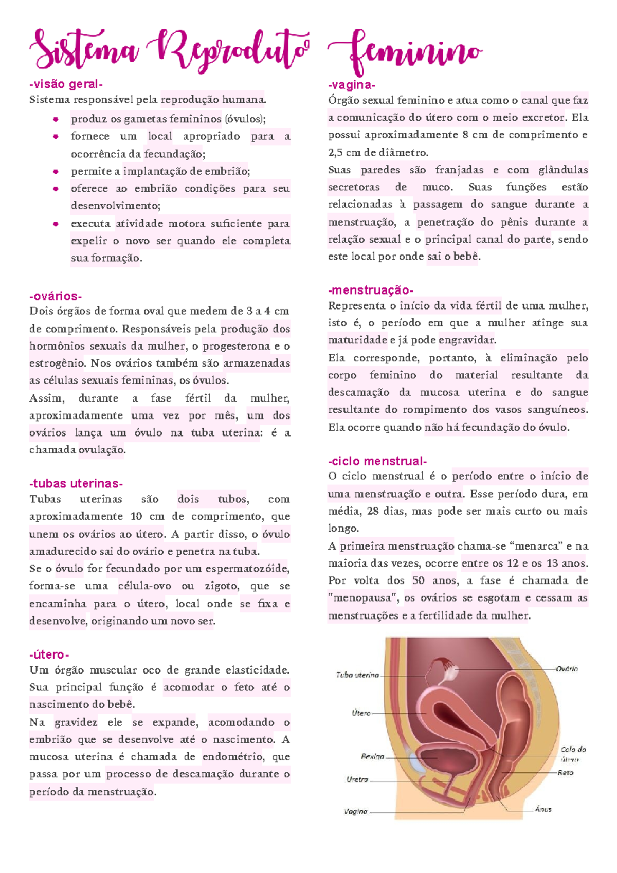 Sistema Reprodutor Feminino -visão geral- Sistema responsável pela ...