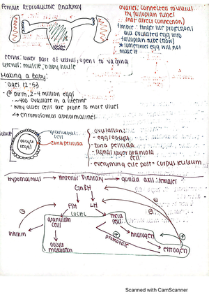 Systems Physiology: Circulatory System - 01:146:356 - Studocu