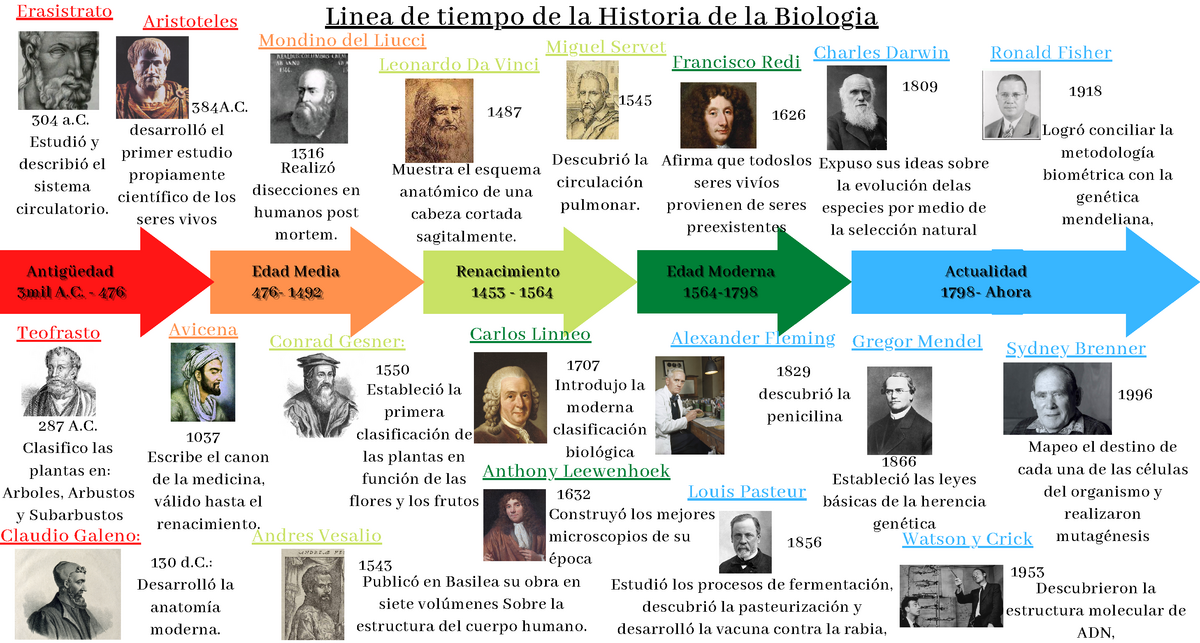 96300193 Linea De Tiempo Historia De La Biologia Line Vrogue Co