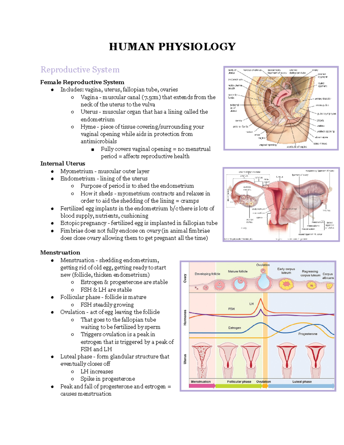 Reproductive System - Lecture notes from Southwestern College w ...