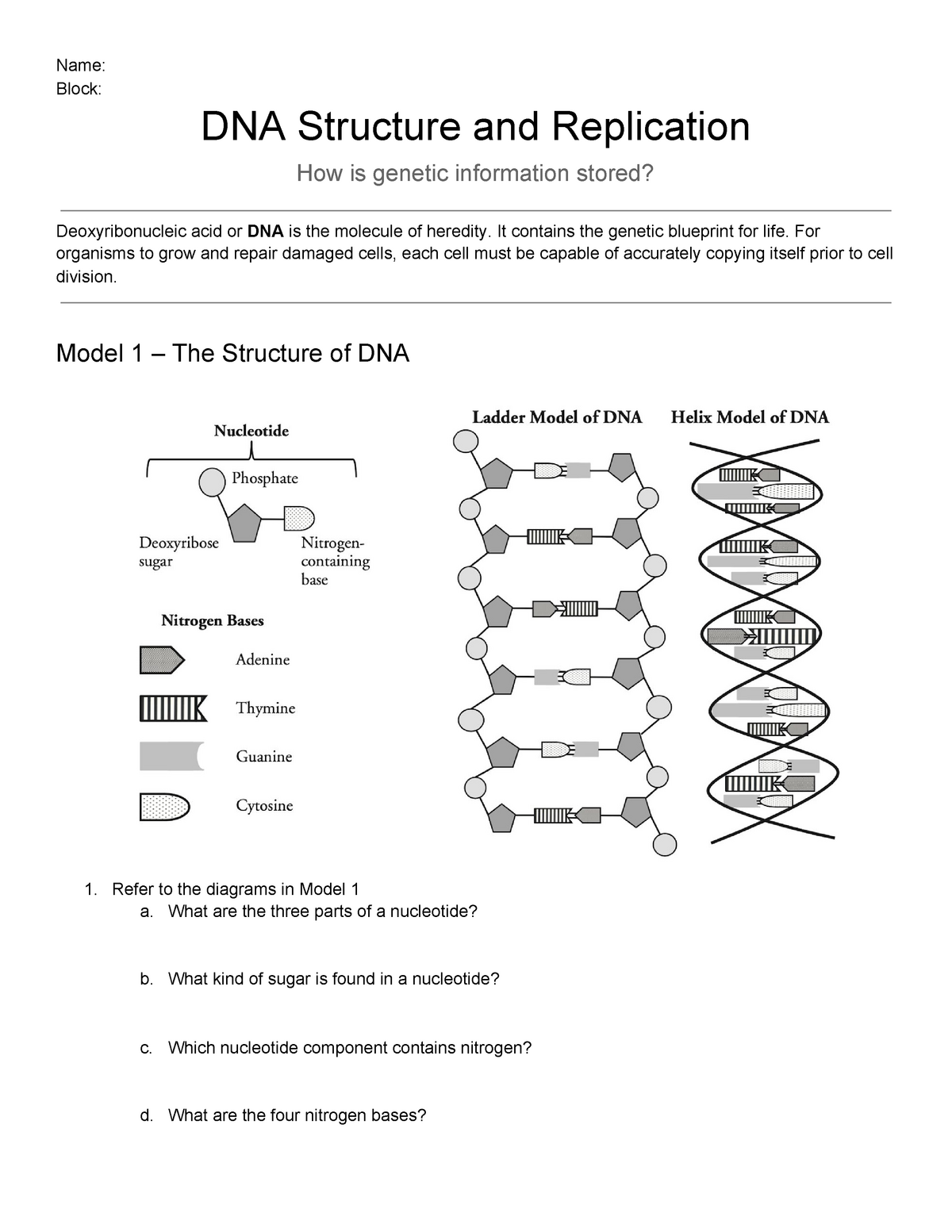 DNA Structure Pogil 21 - Math 21b - Linear Algebra - Harvard Within Dna Structure Worksheet Answer Key