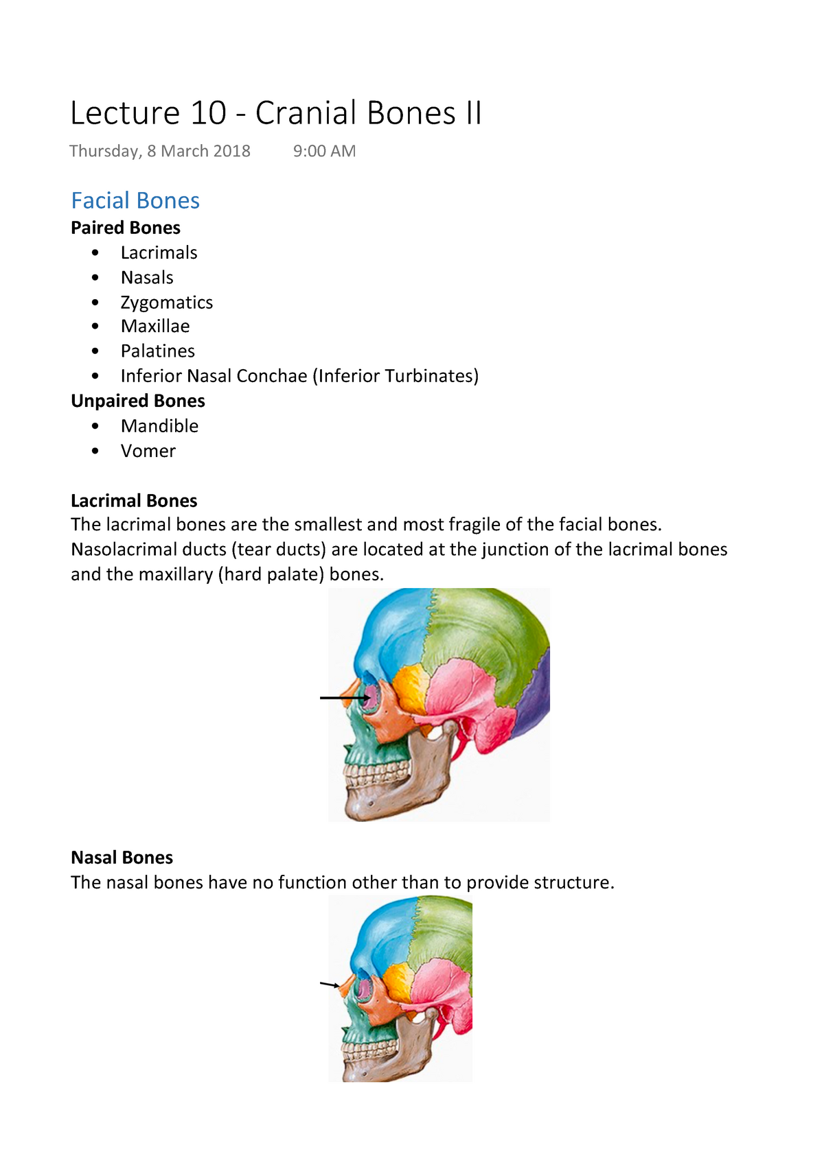 Lecture 10 Cranial Bones II Warning TT undefined function 32 Facial Bones Paired Bones