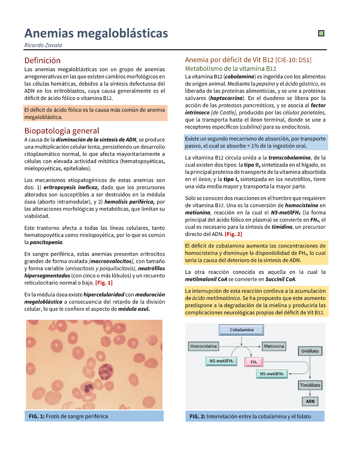 2. Anemias Megaloblásticas Anemias Megalobl Sticas Ricardo Zavala - StuDocu