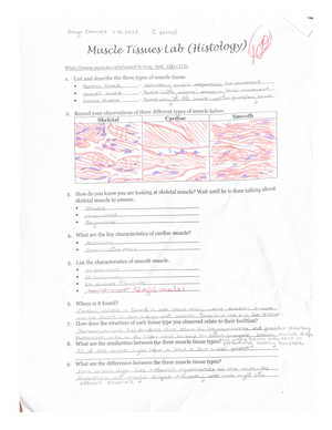 endocrine system hormone case study analysis answer key pdf