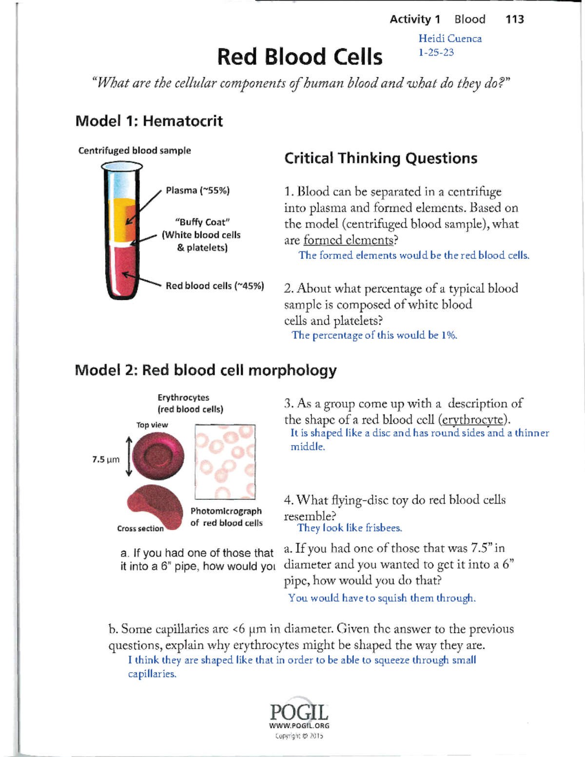 Heidi Cuenca Red Blood Cells 1-28-23 - )FJEJ $VFODB - Studocu