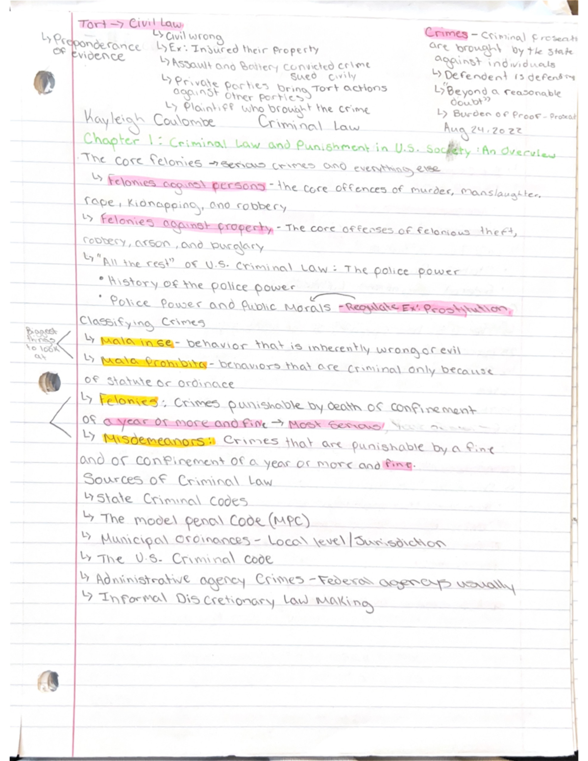 Chapter 1 Criminal Law And Punishment In U.S. Society Overview - Ton ...