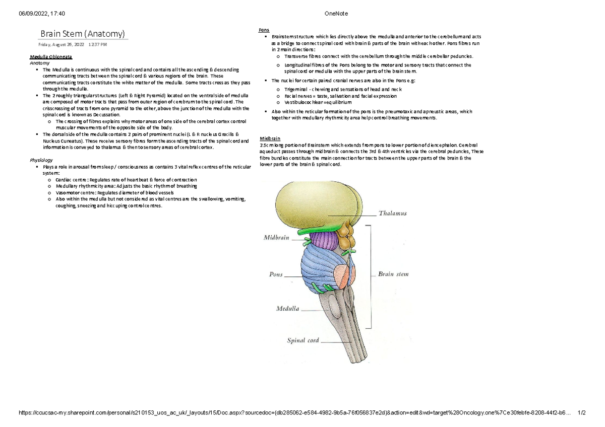 06/09/2022, 17:40 OneNote Biology Diagrams