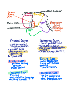 Phototransduction - Detailed outline and drawing of photo-transduction ...