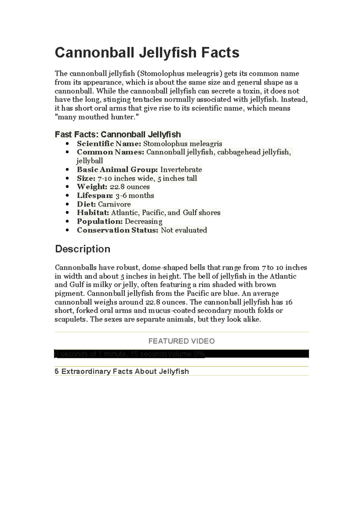 Cannonball Jellyfish Facts While the cannonball jellyfish can secrete