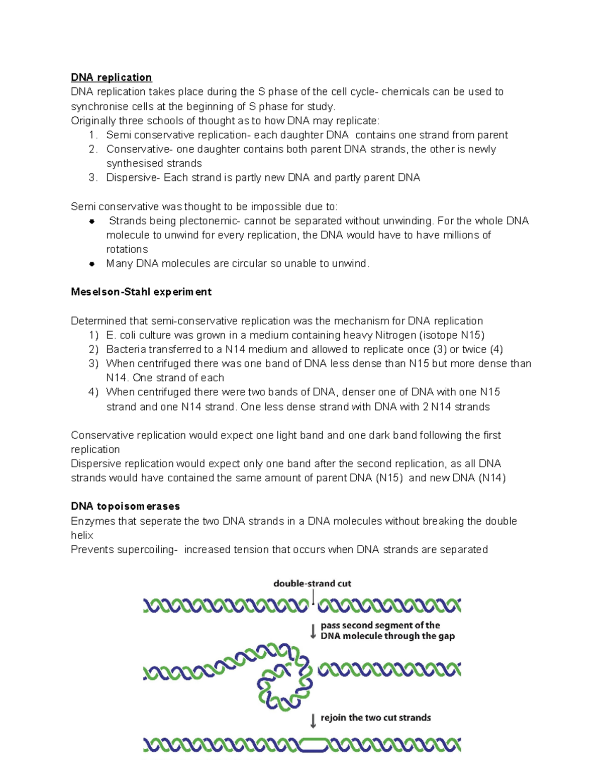 221 Lecture 3,4 and 5. DNA Replication - DNA replication DNA ...