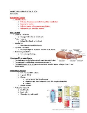 Pathophysiology Week 2 Notes - Pathophysiology Week 2 Inflammation ...