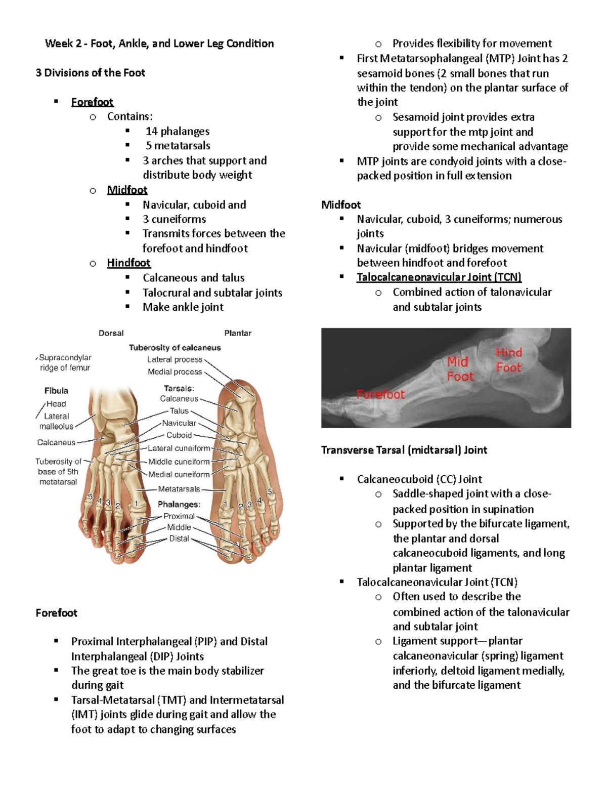 Week 2 Foot Ankle Lower Leg Conditions - HLSC3475 - Ontario Tech ...