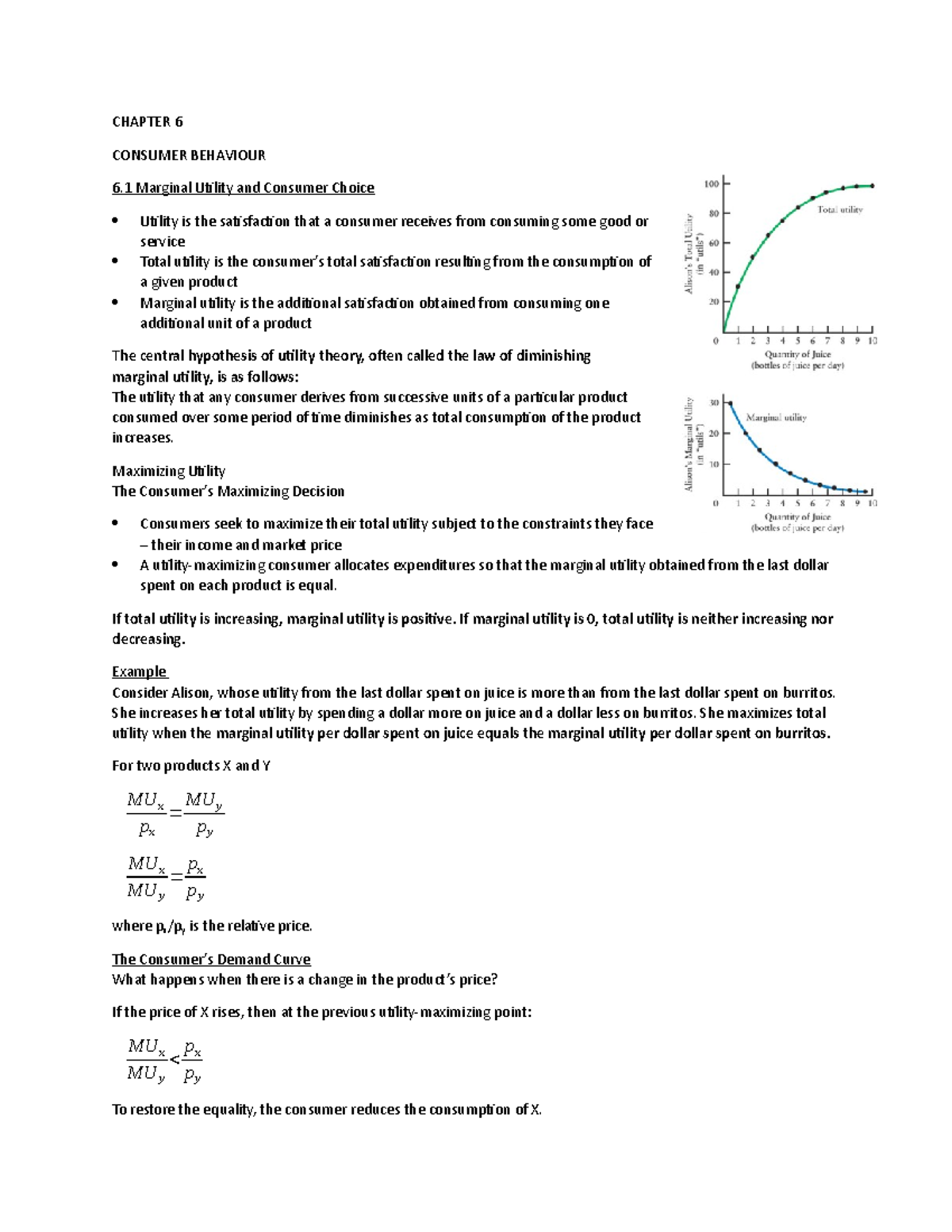 Chapter 6 CONSUMER BEHAVIOUR econ201 - ECON 201 - Concordia - Studocu
