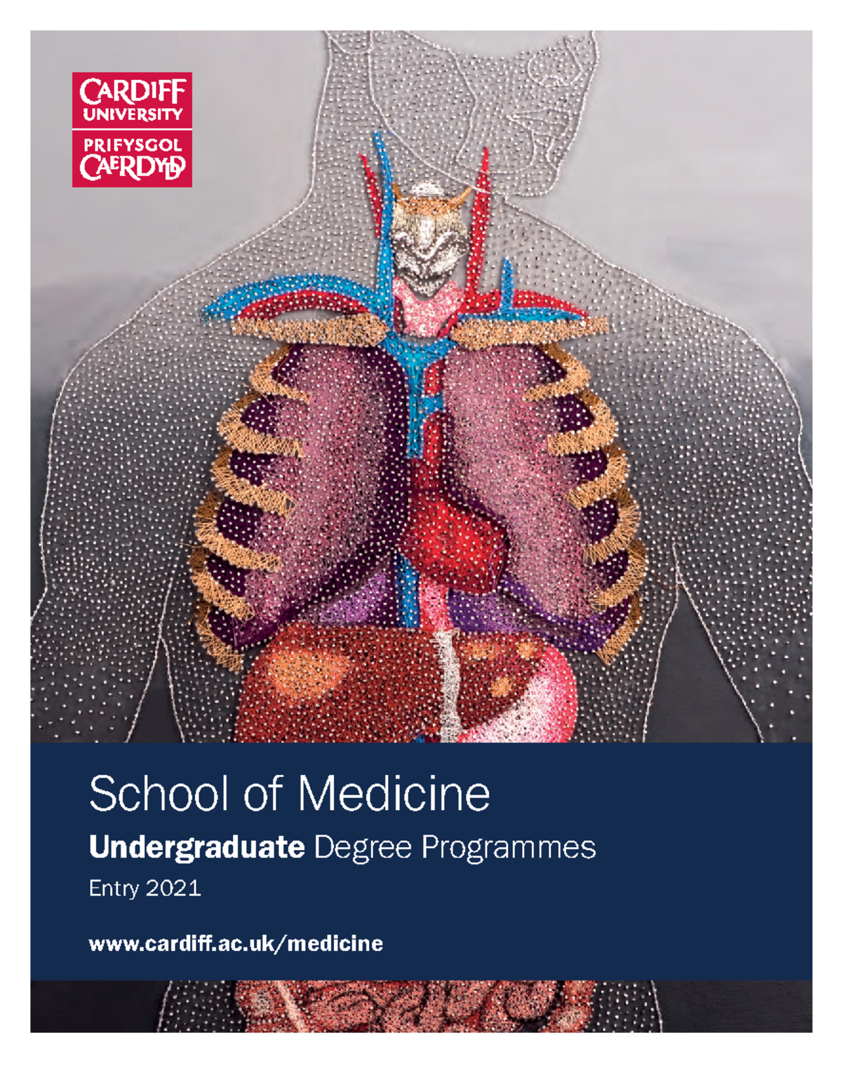 Undergraduate Medicine 2021 entry - 1 School of Medicine Undergraduate ...