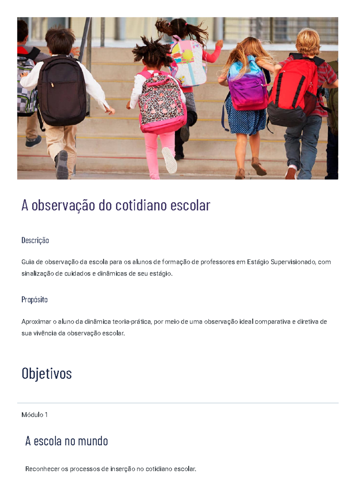 Prática de Ensino na Educação Básica Tema 1 - A observação do cotidiano ...