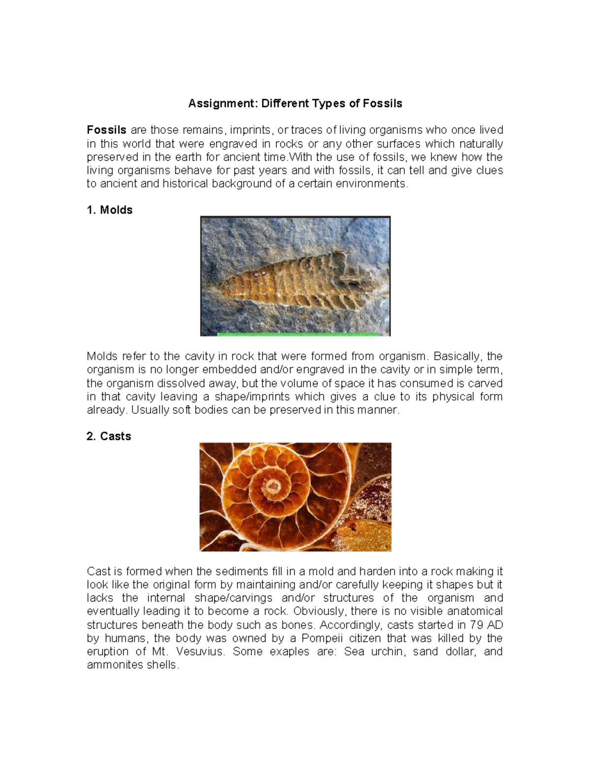 Fossils Assignment Different Types of Fossils Fossils are those