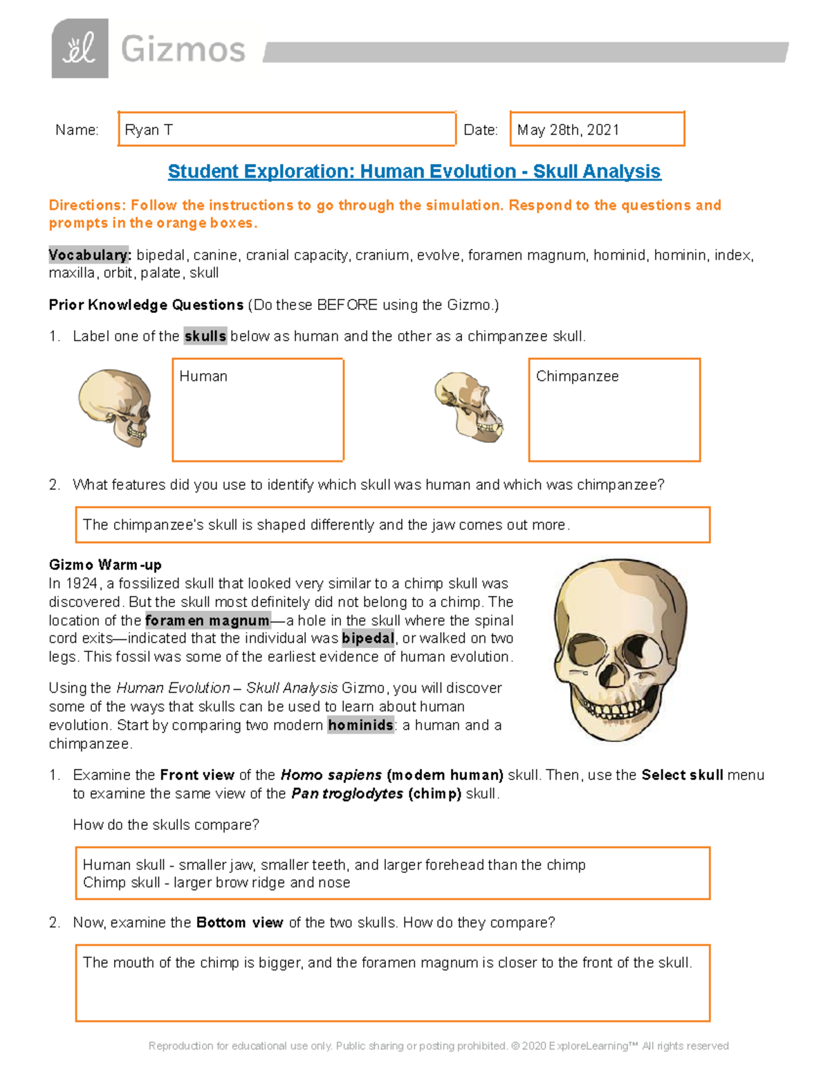 Human Evolution Gizmo Ryan Name Ryan T Date May 28th 2021 