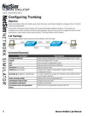 Configuring VLANs (B) - Build A Lab Network To Learn The Commands ...