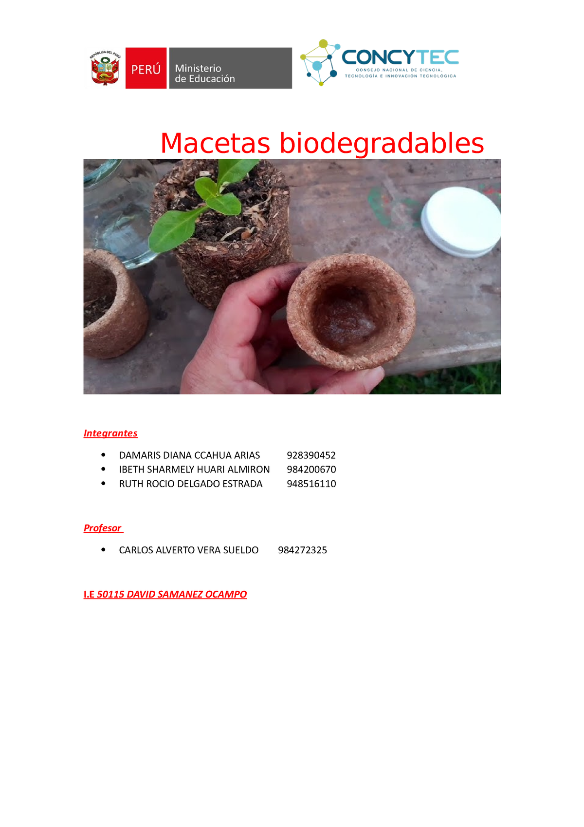 Resumen Biol Macetas Biodegradables Integrantes Damaris Diana Ccahua Arias Ibeth