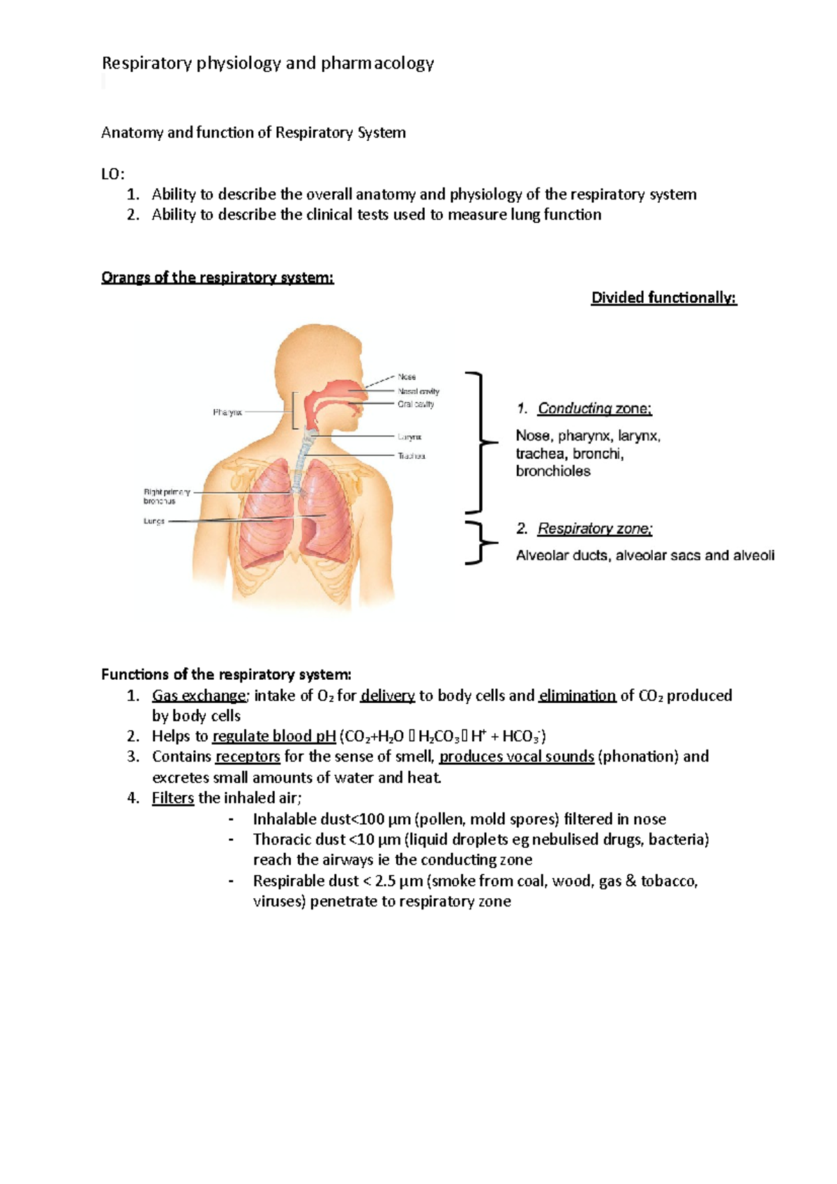 Anatomy and function of Respiratory System - Ability to describe the ...