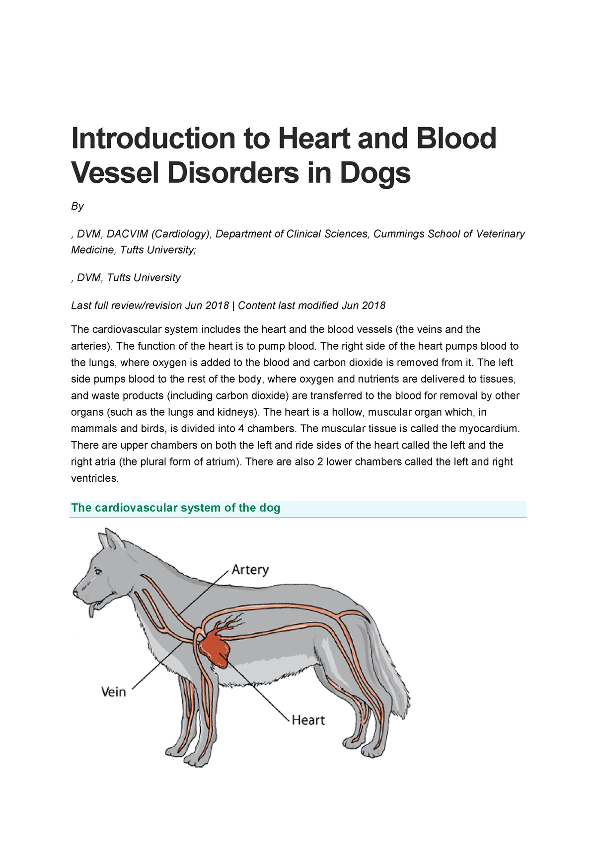 introduction-to-heart-and-blood-vessel-disorders-in-dogs-the-function-of-the-heart-is-to-pump