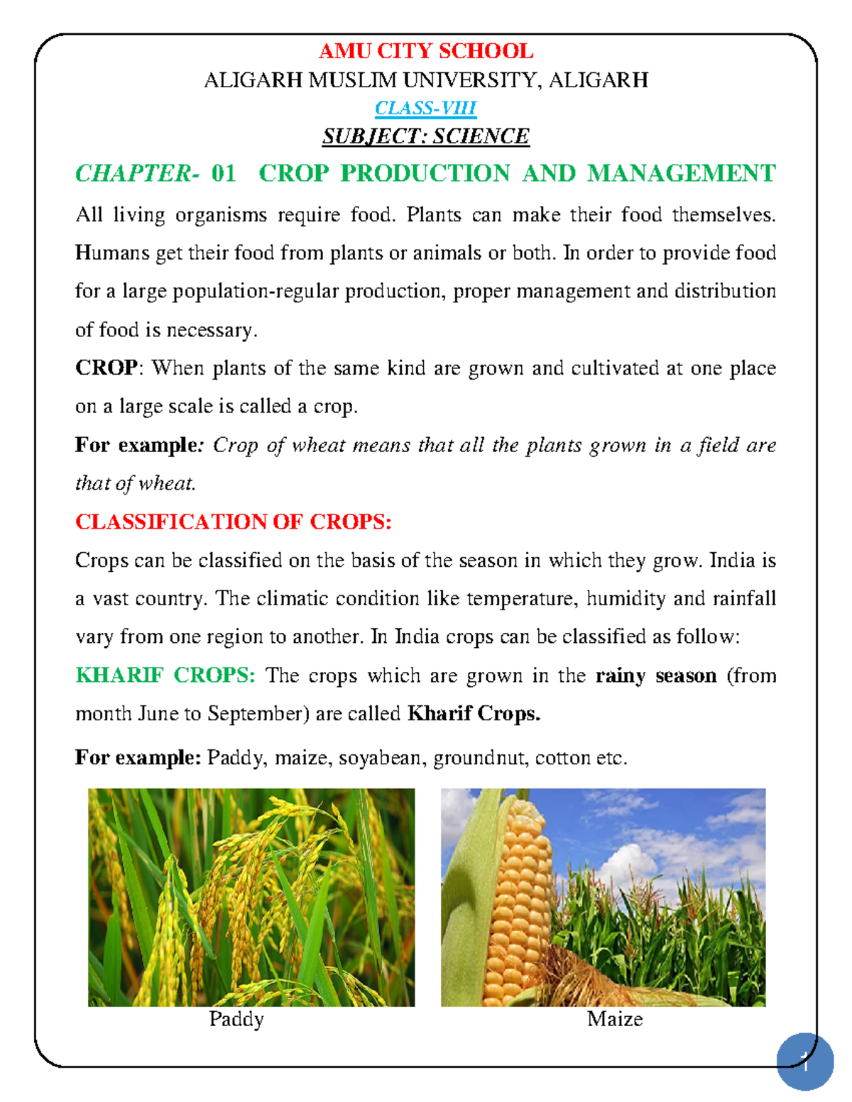 case study for crop production and management