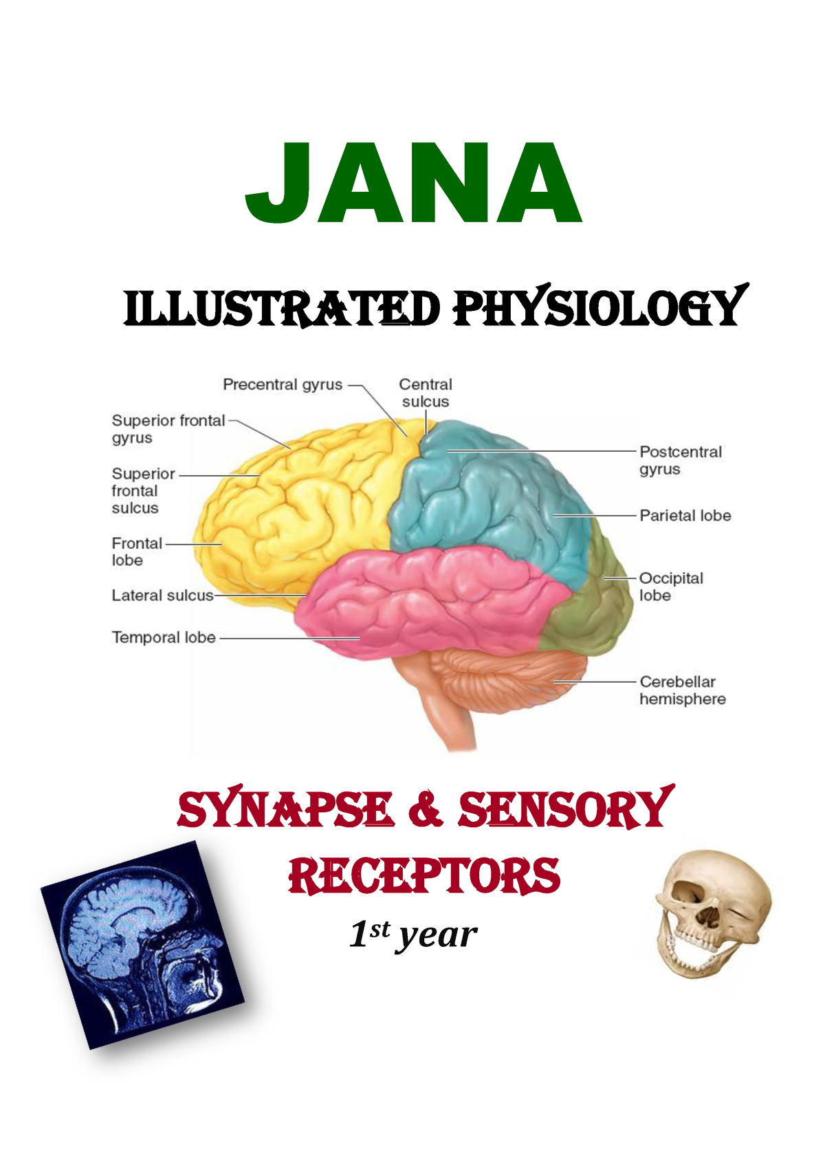 Synapse 2021 - Physiology - JANA ILLUSTRATED PHYSIOLOGY Synapse ...