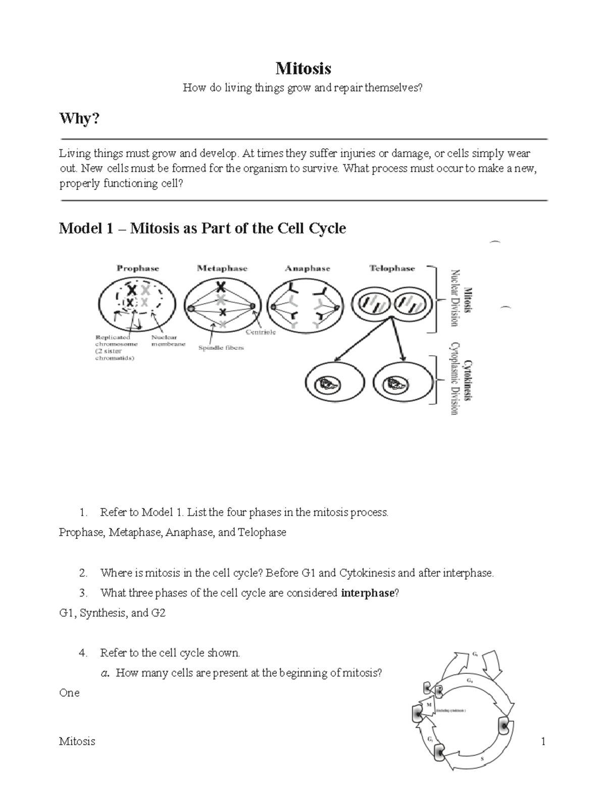 mitosis-living-things-must-grow-and-develop-at-times-they-suffer