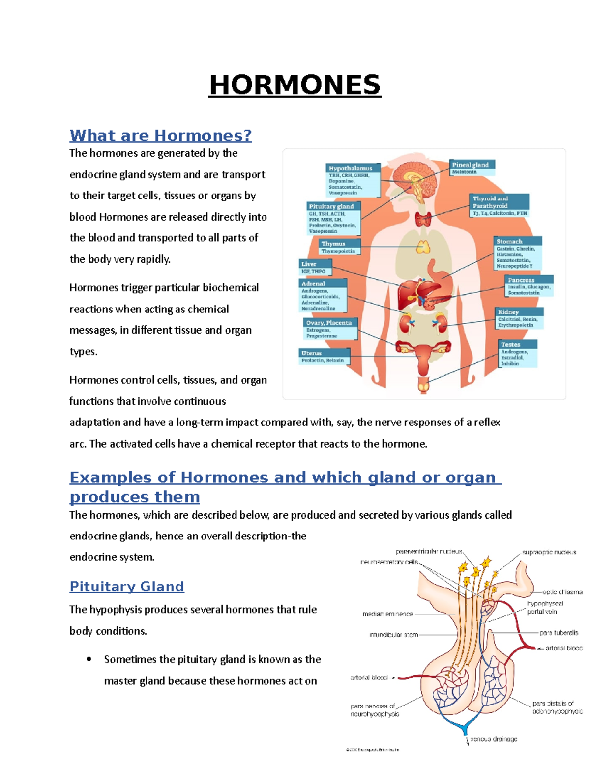 Hormones - O Level Notes For Final - HORMONES What Are Hormones? The ...