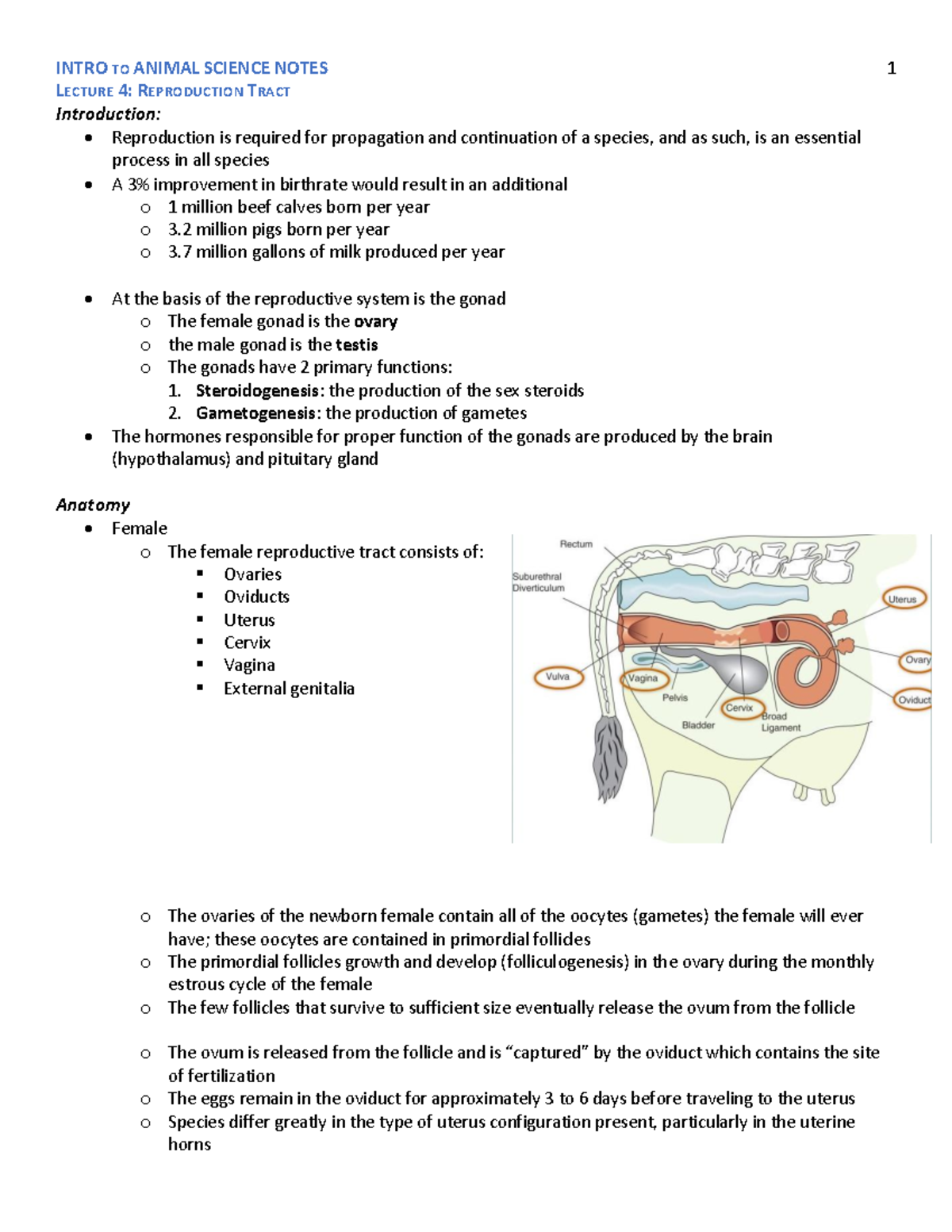 Lecture 4- Reproduction Tract - LECTURE 4: REPRODUCTION TRACT ...