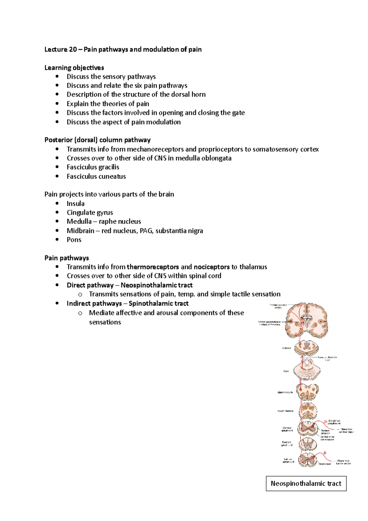 Advanced Neurosciences - Pain pathways and modulation - Lecture 20 ...