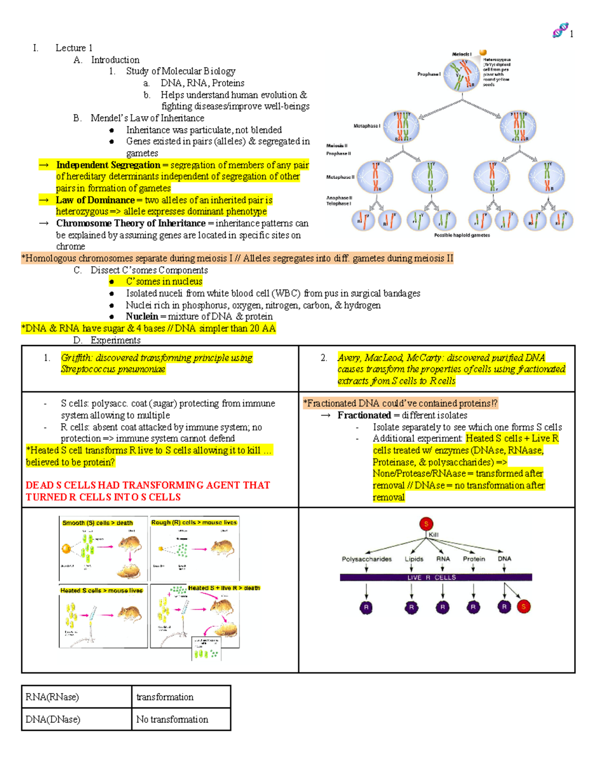 BIOL107A - midterm - I. Lecture 1 A. Introduction 1. Study of Molecular ...