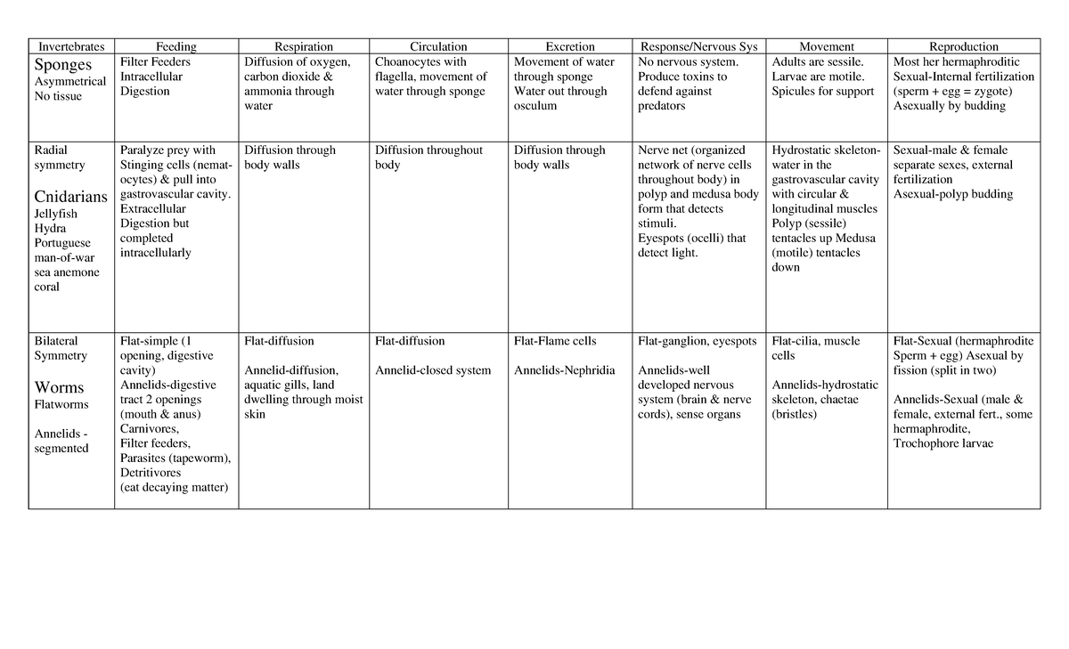 DC Invert Chart - biology - Invertebrates Feeding Respiration ...