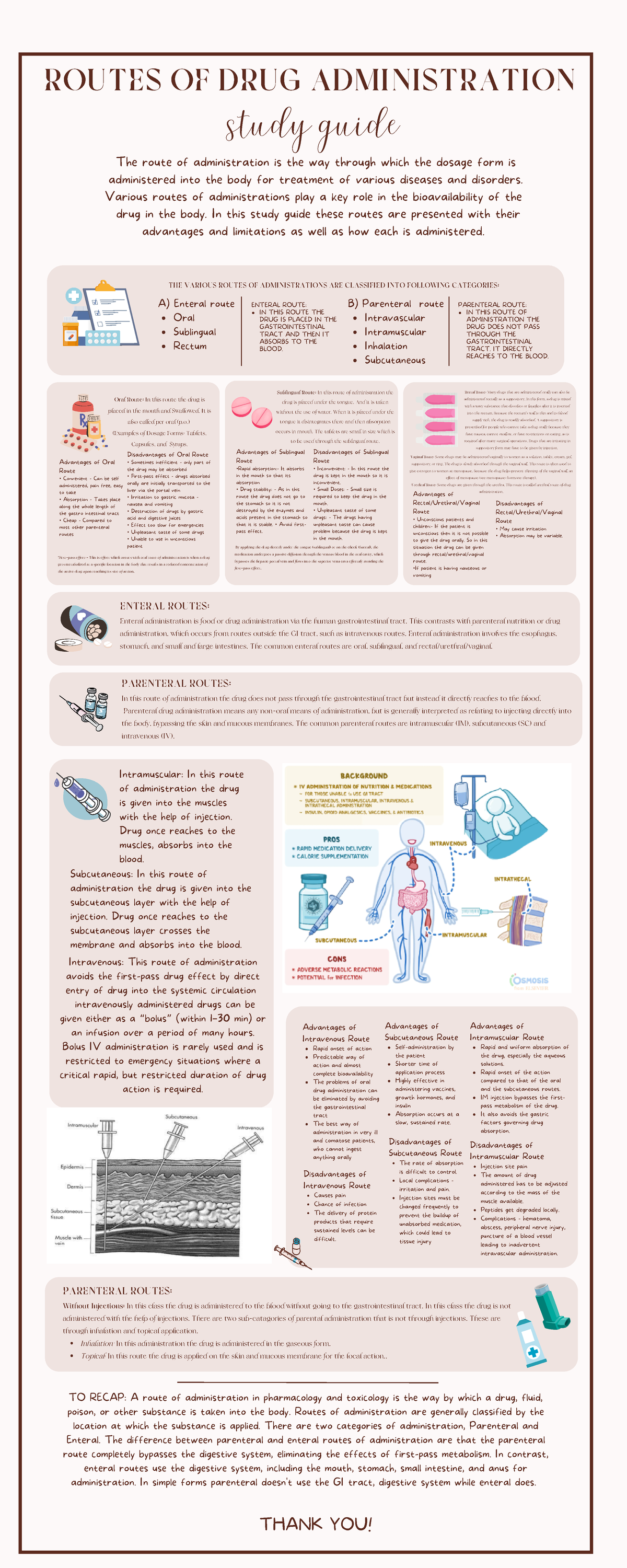 Routes OF DRUG Administration - Intravascular Intramuscular Inhalation ...
