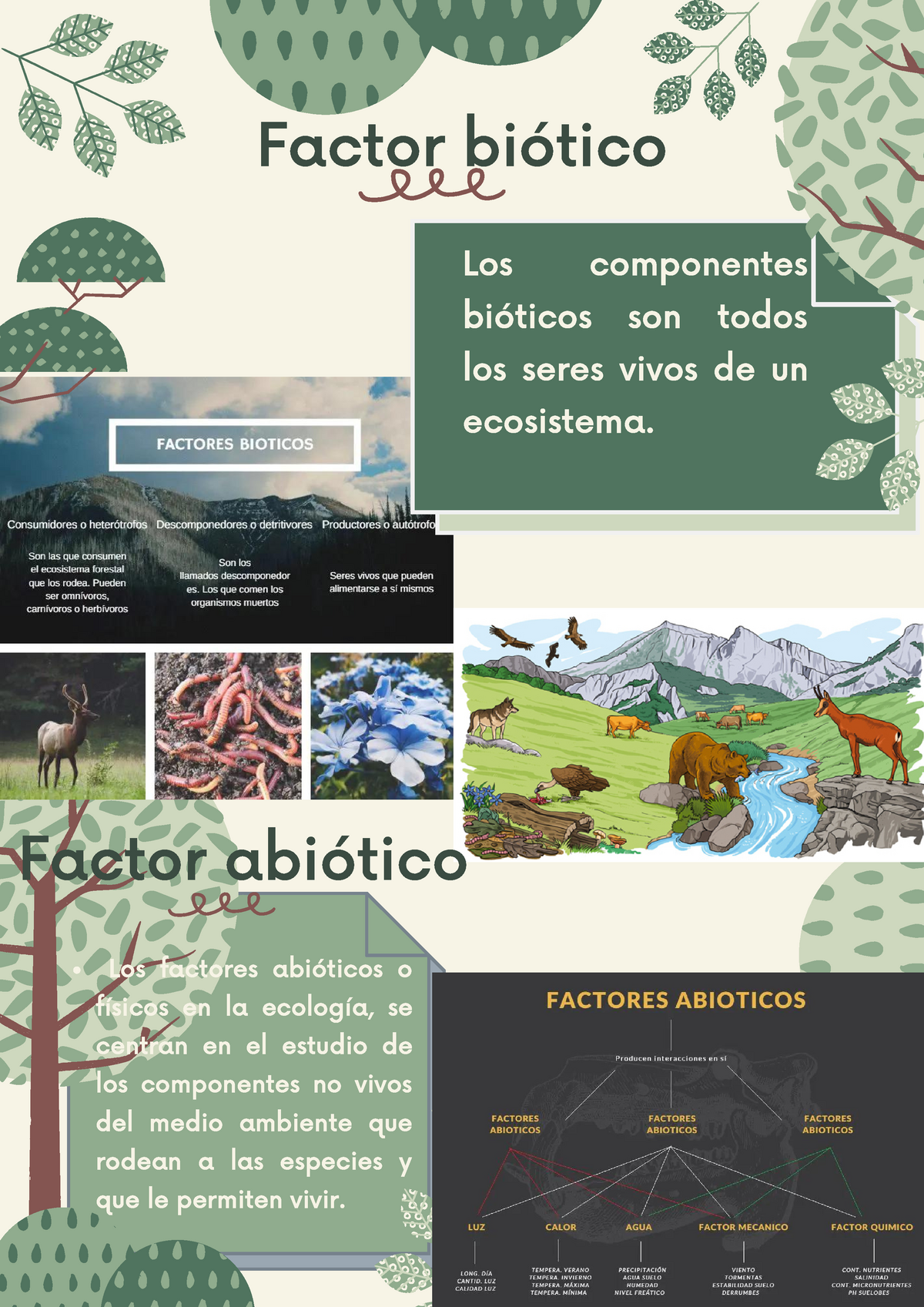 Ecología Biótico Y Abiótico Factor Biótico Los Componentes Bióticos Son Todos 7971