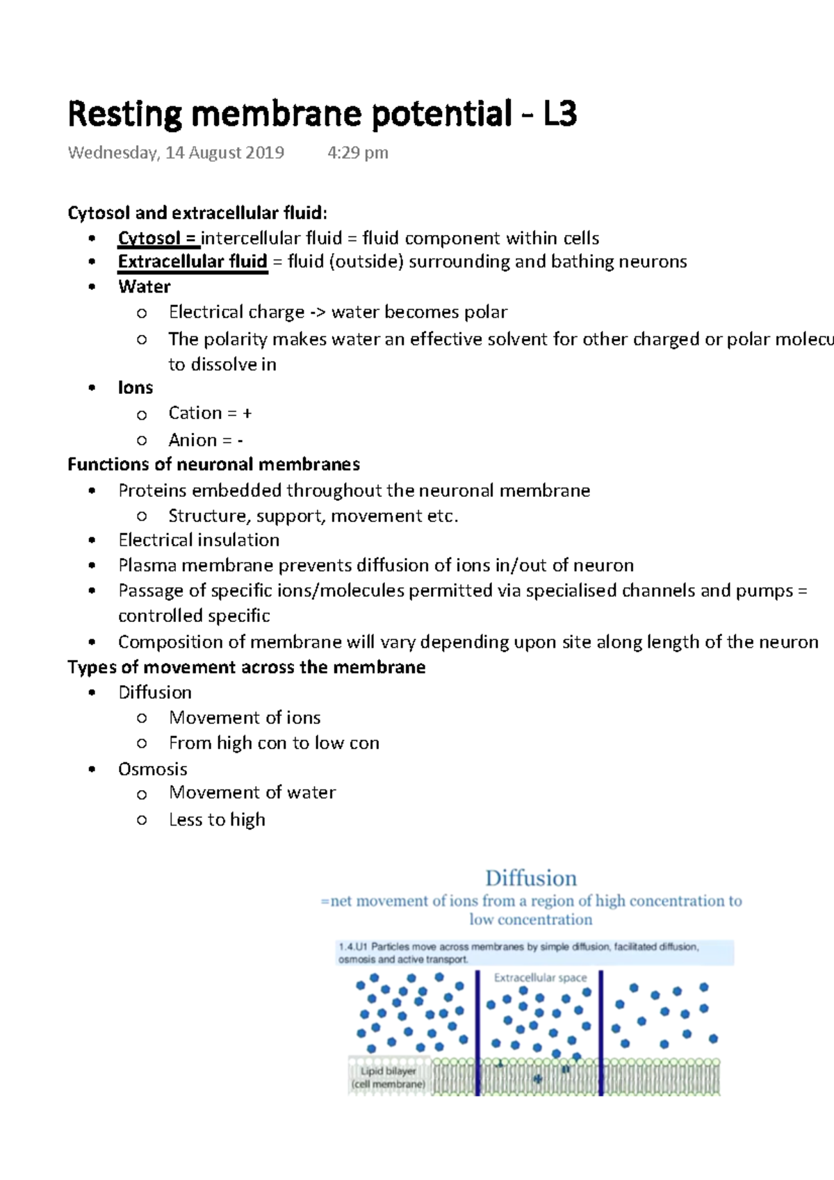 Resting membrane potential L3 Cytosol and extracellular fluid