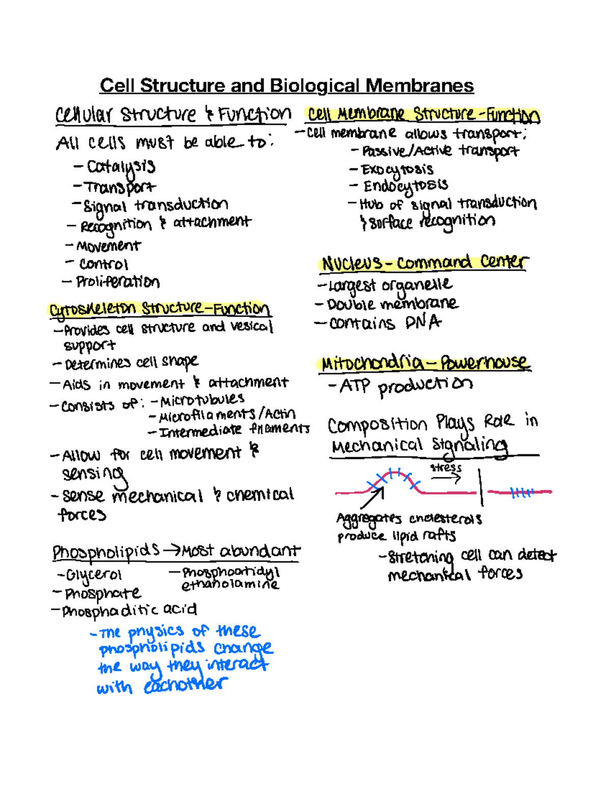 Lecture 3 Cell Structure And Biological Membranes Cellular