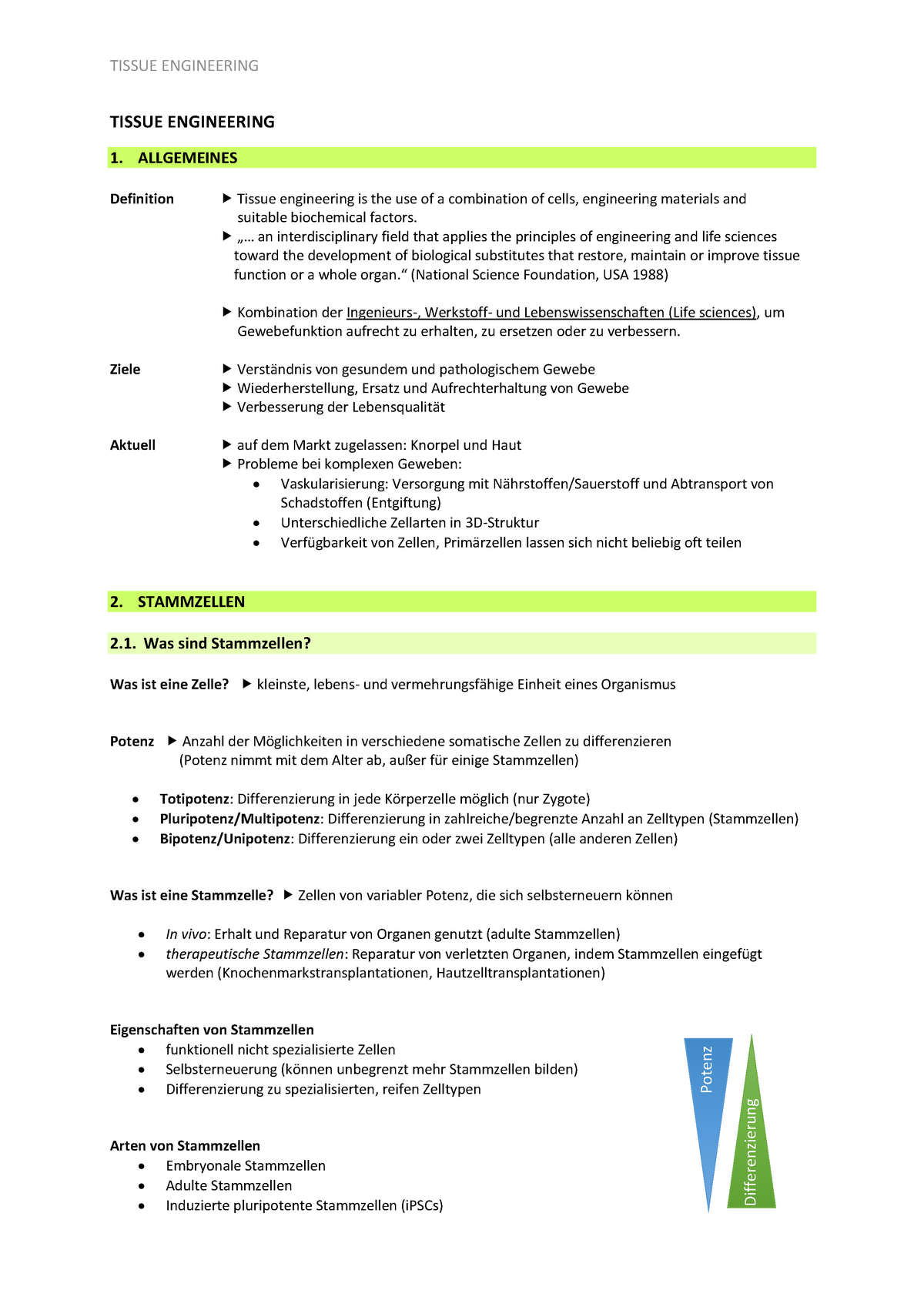 Tissue Engineering Zusammenfassung 1 3 Studocu