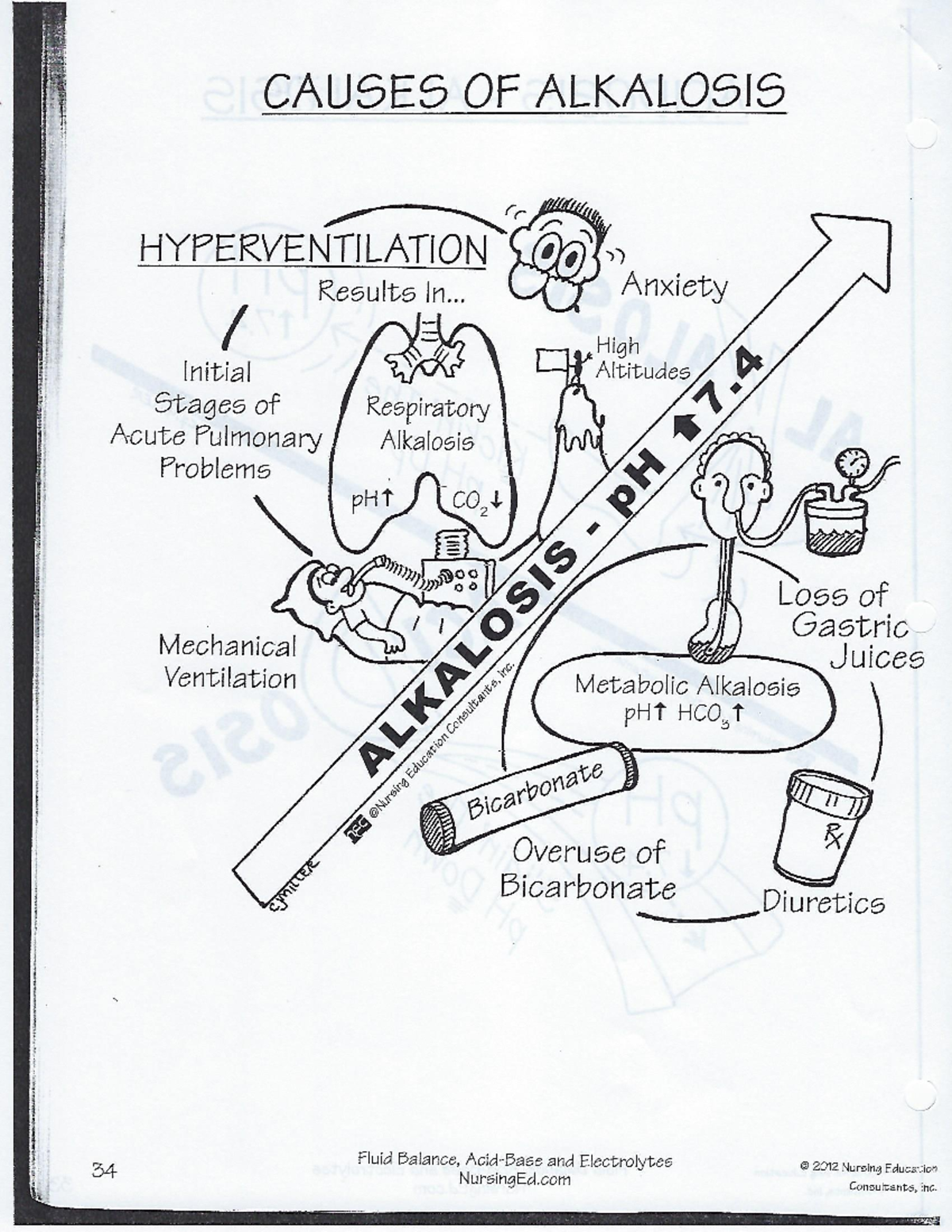 Alkalosis Need-to-Know - Nur 601 - Studocu