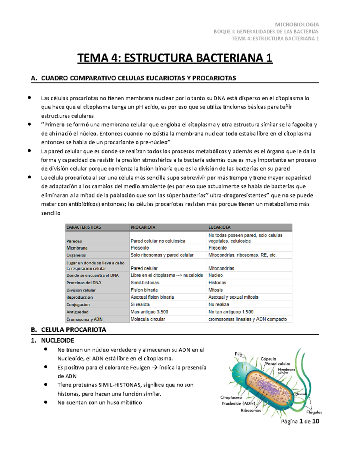 T4 - Micro - Estructura Bacteriana 1 - BOQUE I: GENERALIDADES DE LAS ...